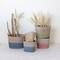 Hello Honey® Multicolor Oval Woven Water Hyacinth & Rattan Dip-Dyed Basket Set